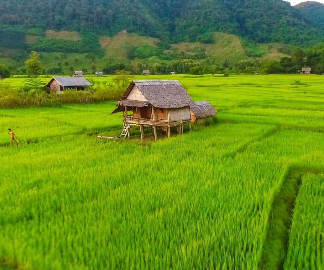 Visiter Muang La: Top 7 Des Choses à Faire Et à Voir