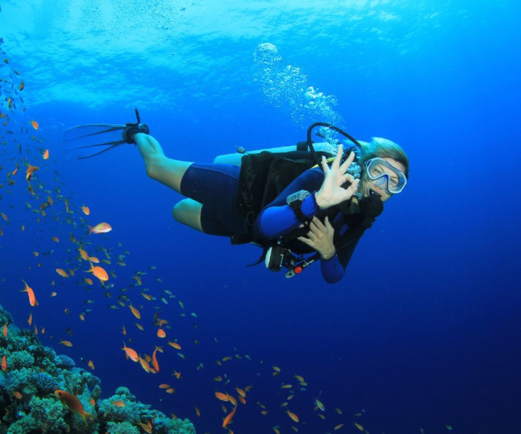 Top 7 Fascinating Scuba Diving In Vietnam Not Be Missed