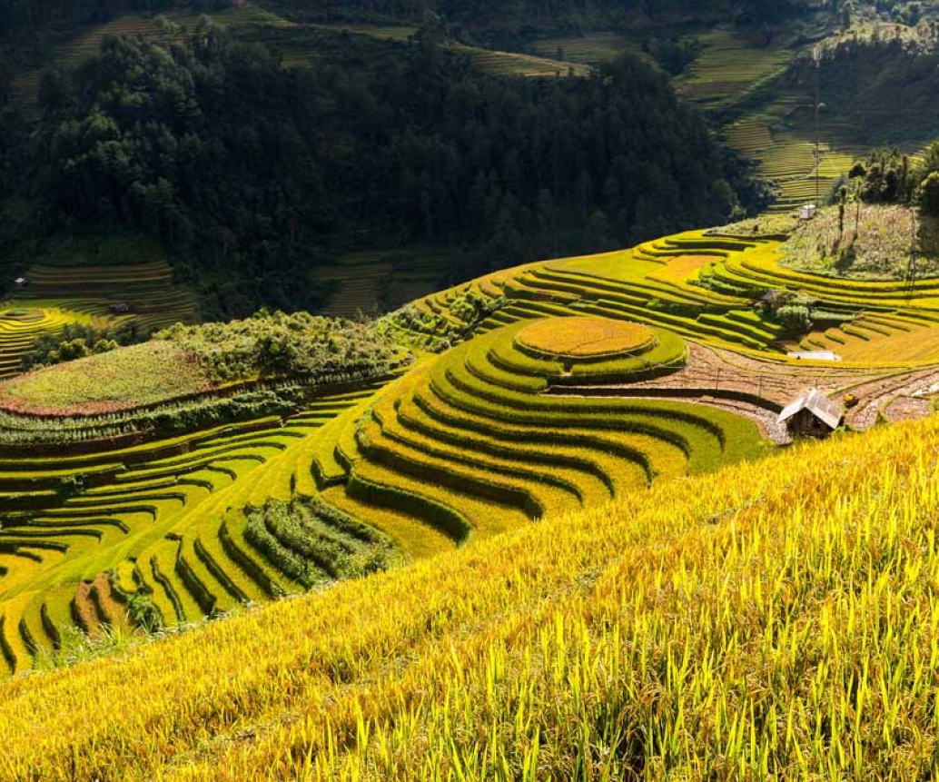 A Complete Guide For Mu Cang Chai Travel