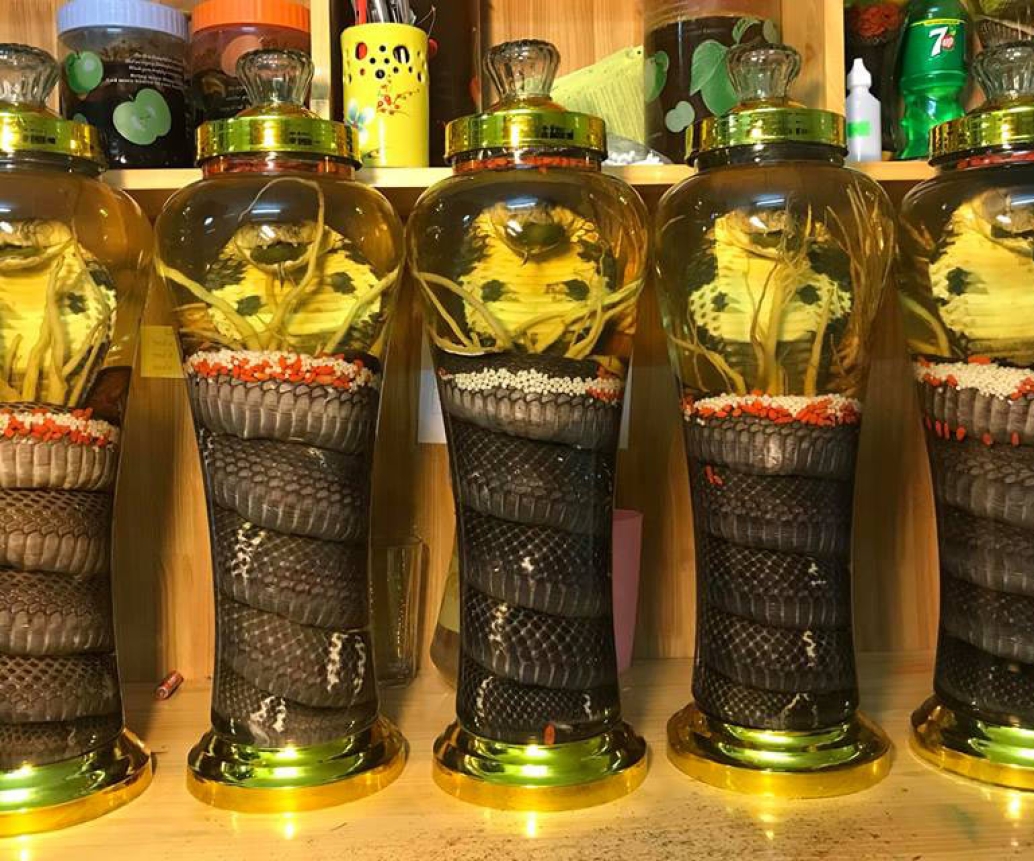 L’alcool De Serpent, Une Boisson étrange Du Vietnam