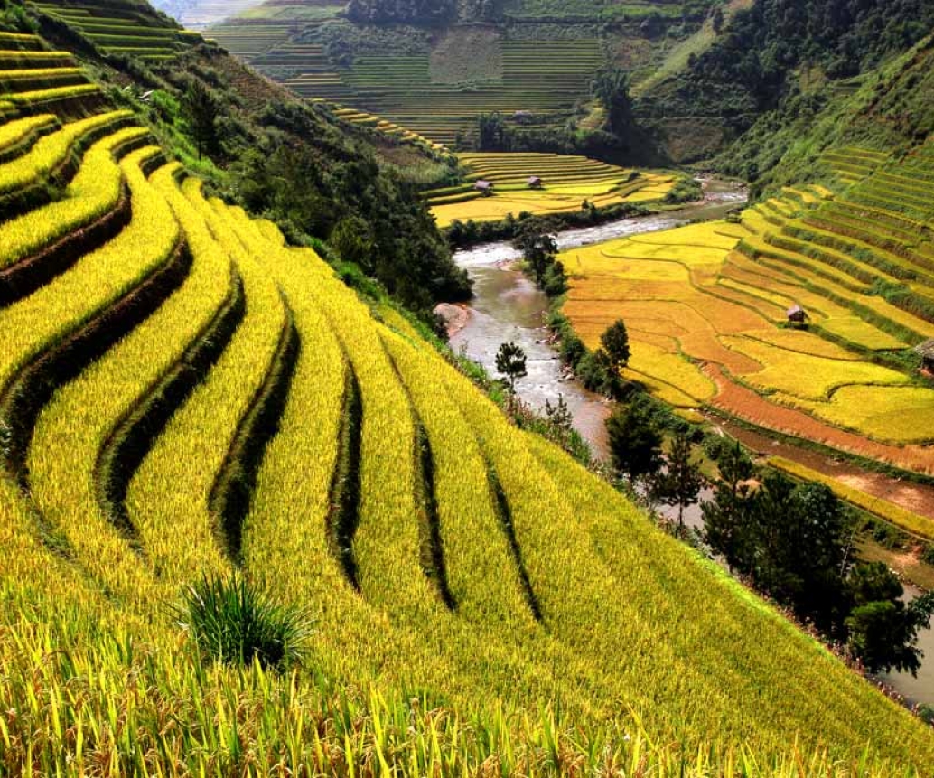 The Ultimate Guide For Sapa Travel