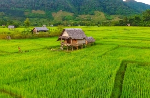 Visiter Muang La: Top 7 Des Choses à Faire Et à Voir