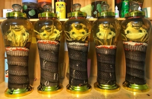 L’alcool De Serpent, Une Boisson étrange Du Vietnam