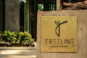 Treeline urban hotel