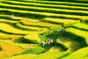 North Vietnam tour 10 days