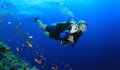 Top 7 Fascinating Scuba Diving In Vietnam Not Be Missed