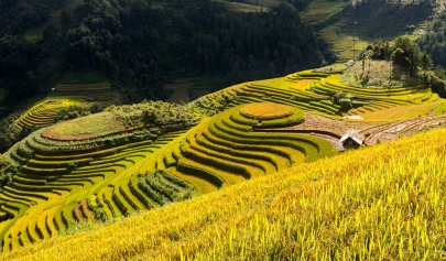 Que Voir Et Faire À Mu Cang Chai 