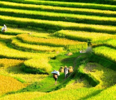 North Vietnam tour 10 days