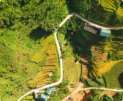 Vietnam, the land of rice fields