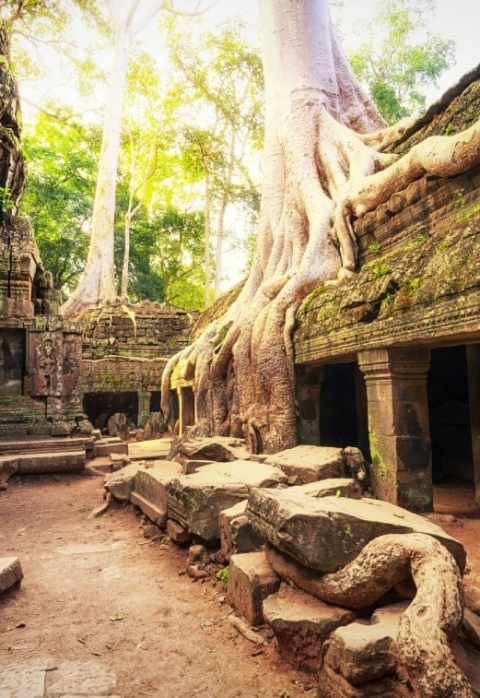 Cambodia