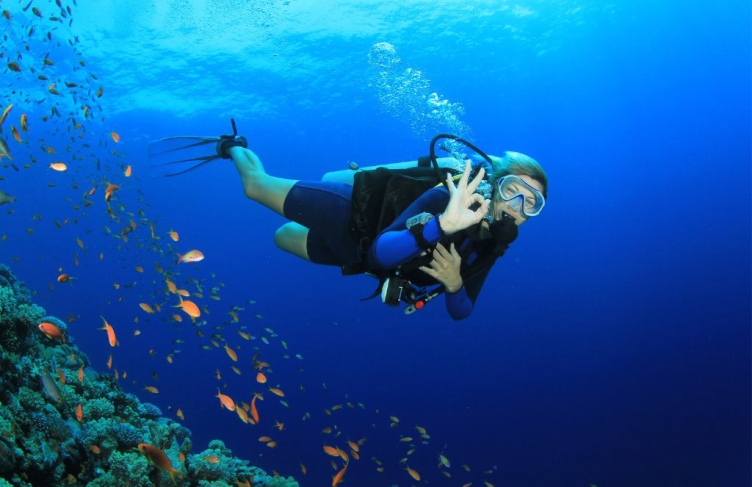 Top 7 Fascinating Scuba Diving In Vietnam Not Be Missed