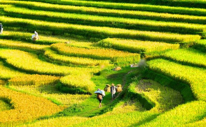 North Vietnam tour 10 days