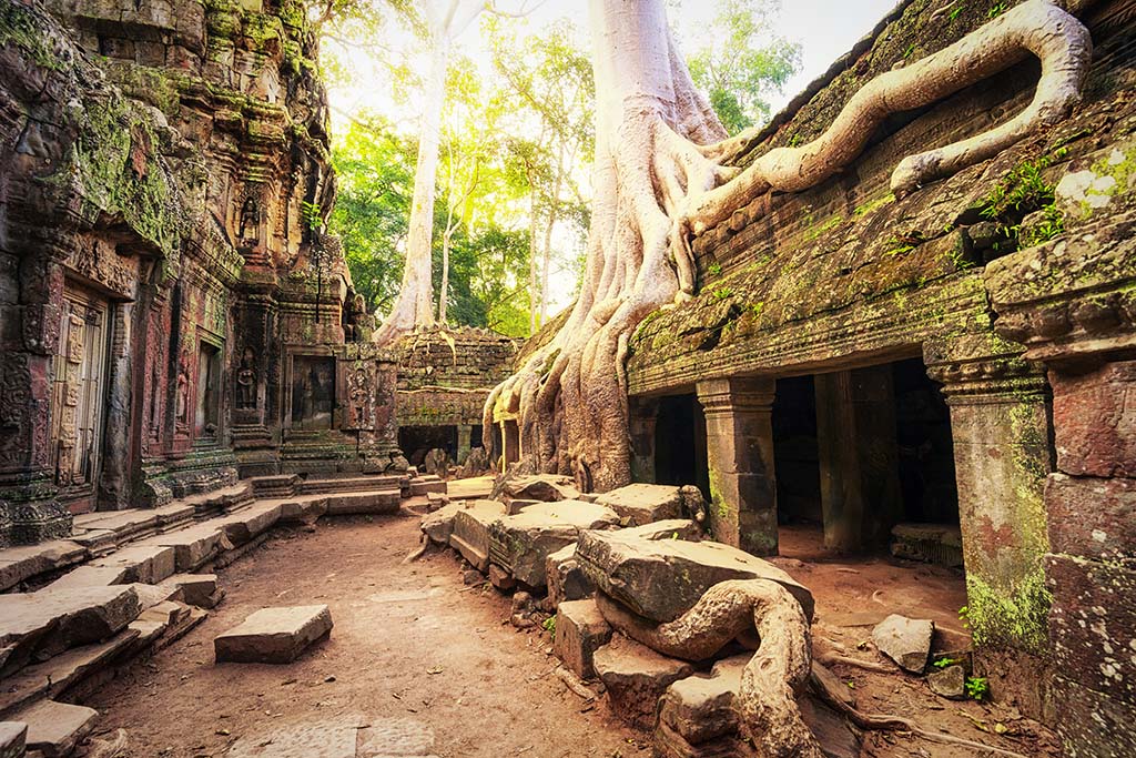 Ta Phrom, Siem Reap in Cambodia