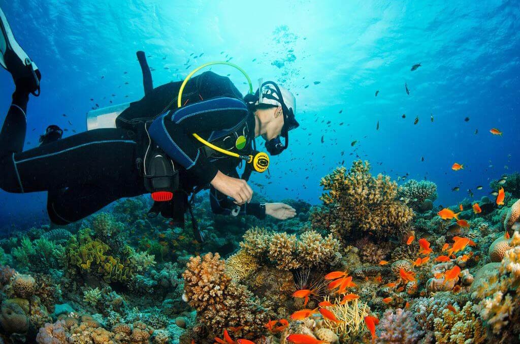 Snorkelingand diving