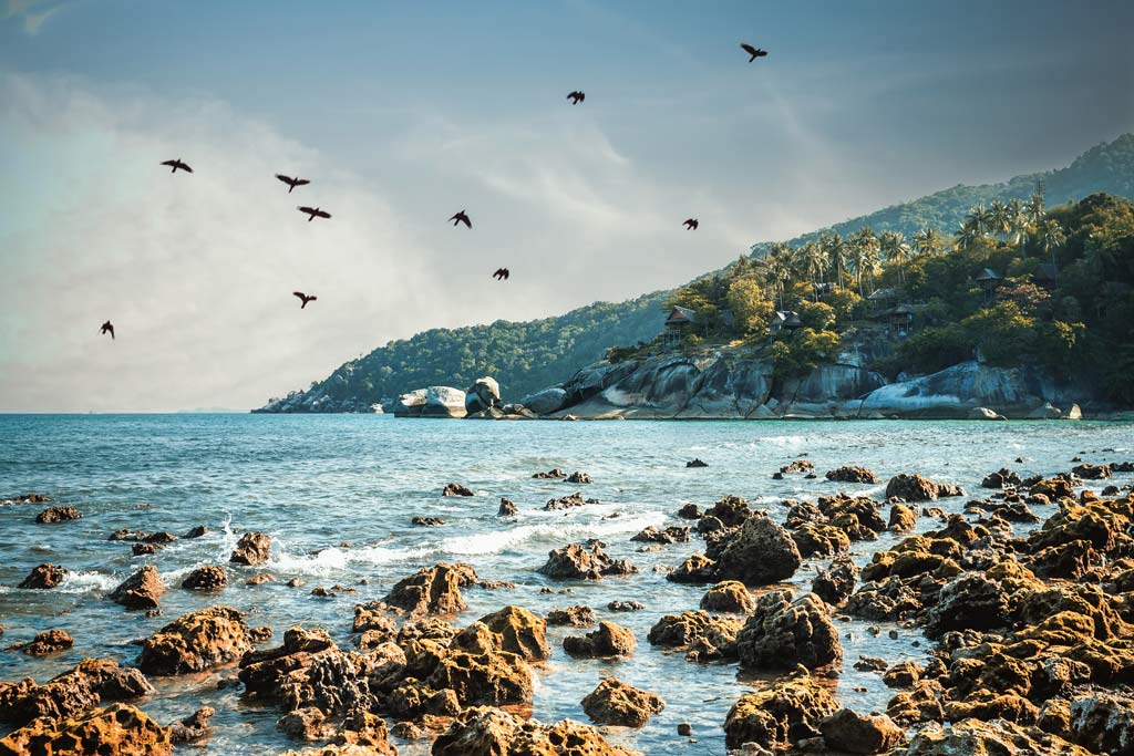 Koh Phangan