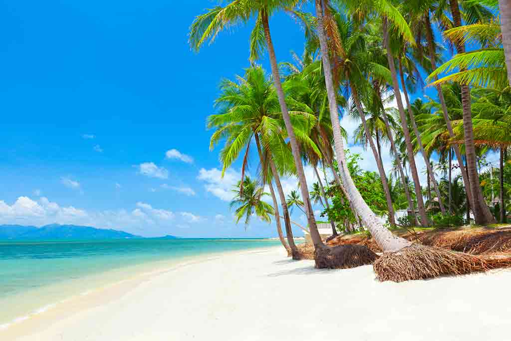 Koh Samui - The third-largest island in Thailand