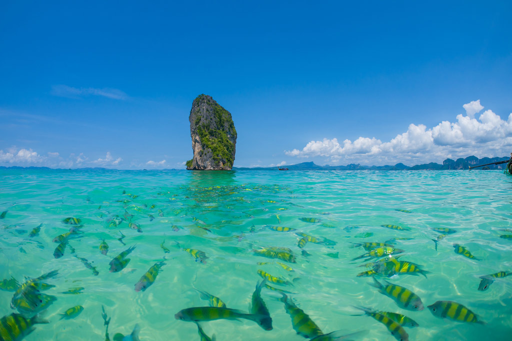 Krabi