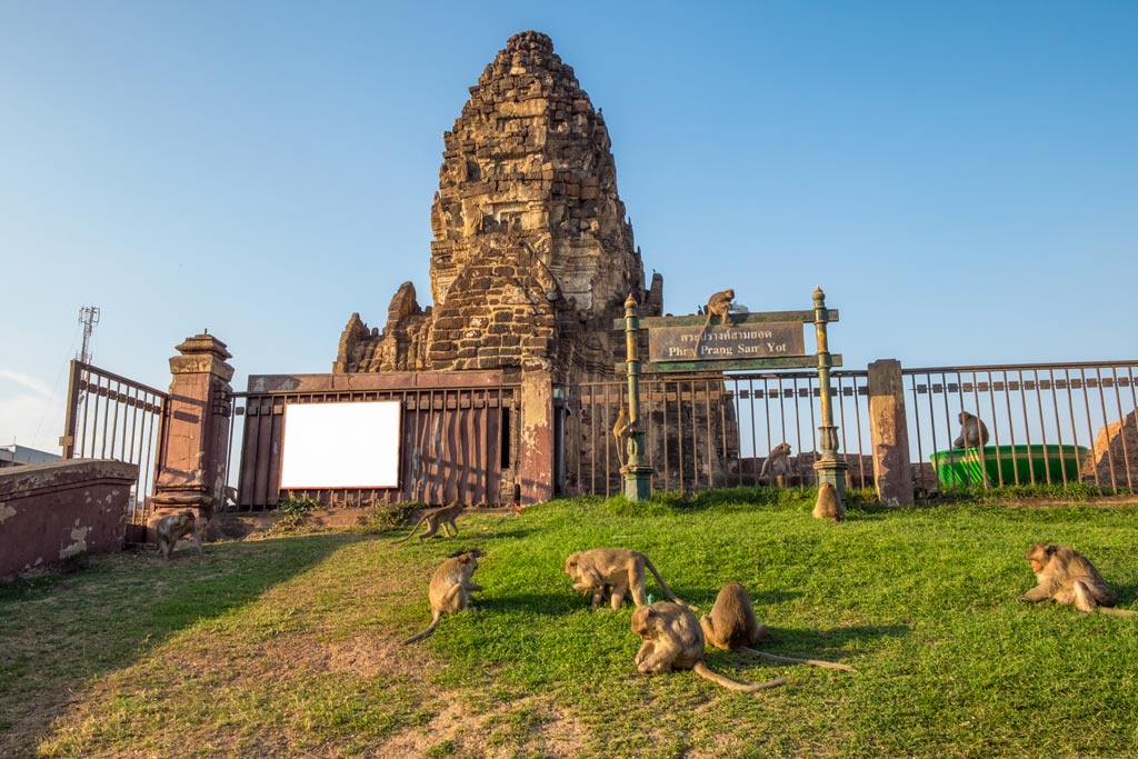 Lopburi-The city of Monkey