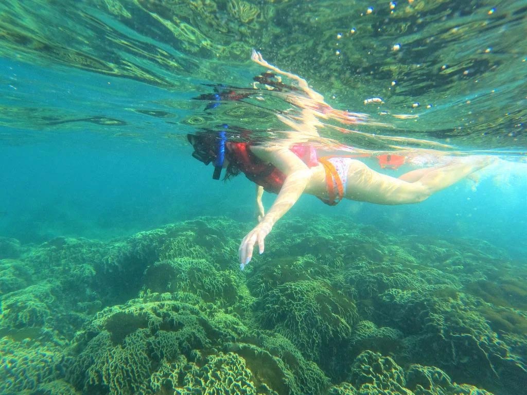 Snorkeling is fun in Con Dao