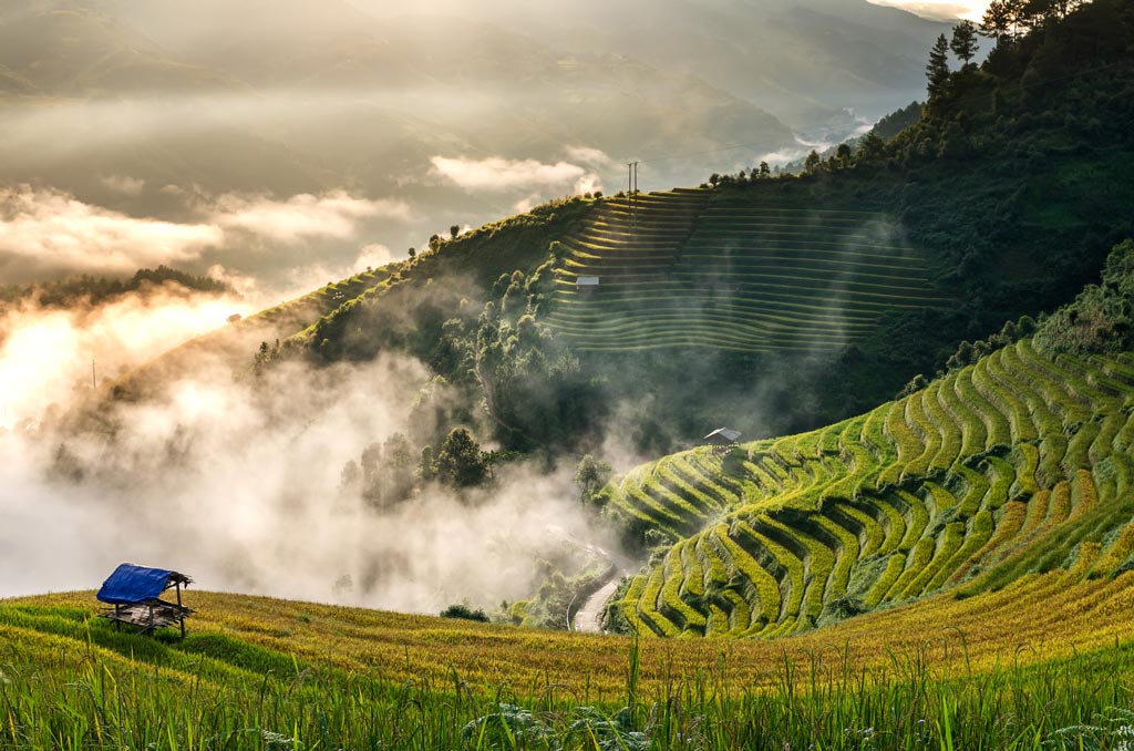 The terraced rice fields in Mu Cang Chai