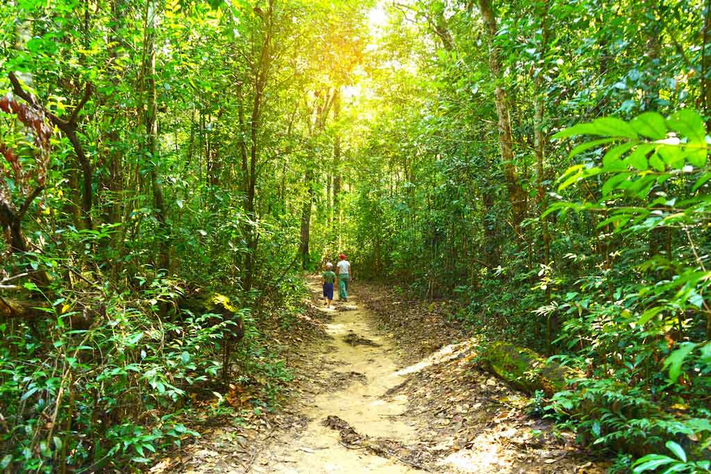 Explorer le parc national de Phu Quoc