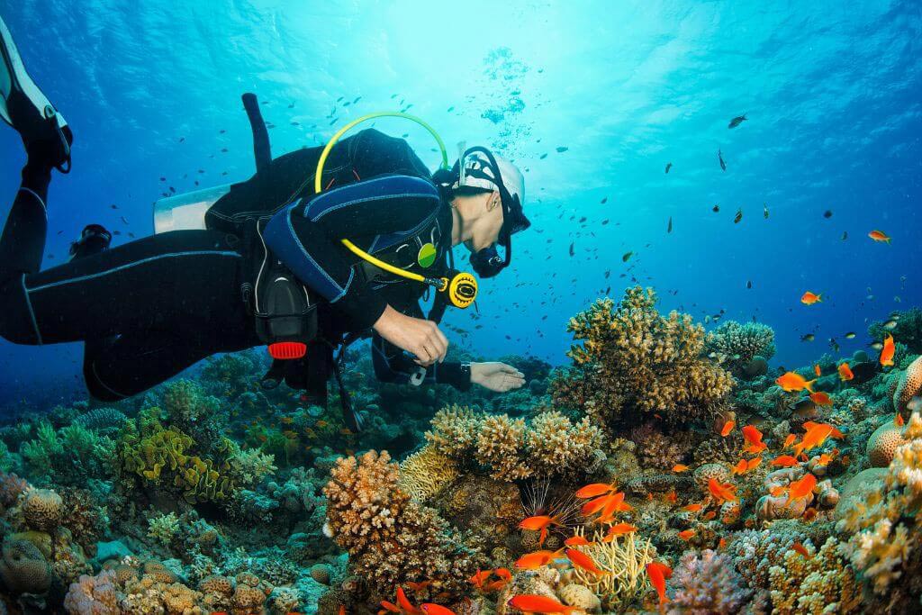 Snorkeling diving