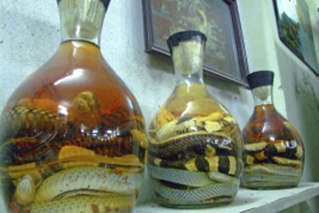 L’alcool de serpent